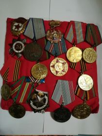 Медаль за Отвагу; Медаль за Победу над Германией и другие.