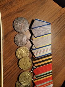 медали За отвагу, За боевые заслуги, За оборону Кавказа, За победу над Германией