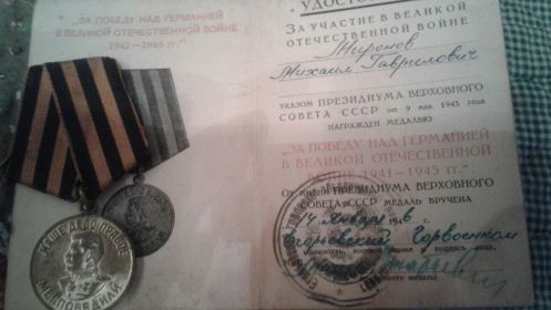 медаль "За Победу над Германией в Великой Отечественной Войне 1941-1945 г.г."