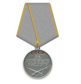 Медаль»За победу над Германией в Великой Отечественной войне