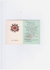 Орден Отечественной войны 2 степени , медали за отвагу