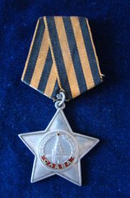 Орден славы 3 степени