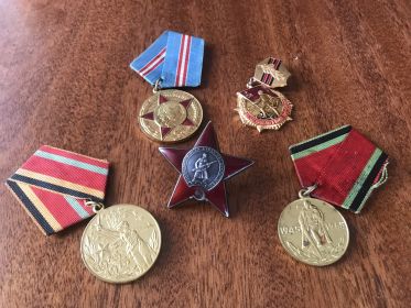 Орден "Красной звезды", медали в честь годовщины Великой Победы (20,25 и 30 лет)