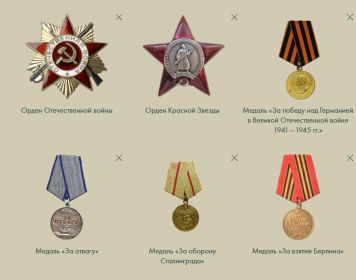 Орден Красной звезды, медаль за Отвагу, За взятие Берлина, За Победу над Германией, За боевые заслуги, Медаль Жукова, За оборону Сталинграда, Орден Отечественно...