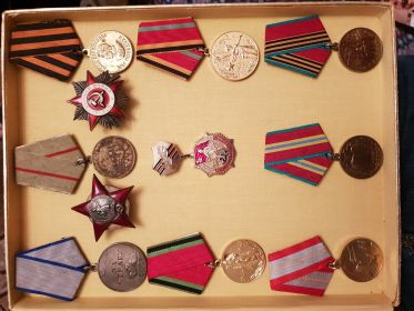 ЗА ОТВАГУ. ОРДЕН КРАСНОЙ ЗВЕЗДЫ. ЗА БИТВУ ЗА СТАЛИНГРАД. ОРДЕН ОТЕЧЕСТВЕННОЙ ВОЙНЫ 1-Й СТЕПЕНИ. МЕДАЛЬ ЗА ПОБЕДУ НАД ГЕРМАНИЕЙ. ЮБИЛЕЙНЫЕ МЕДАЛИ -5 ШТУК.