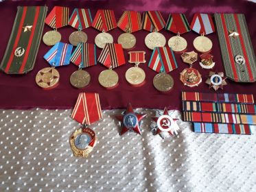 Ордена; Красной звезды, Орден победы 1 степени, орден ленина. 12 боевых медалей.