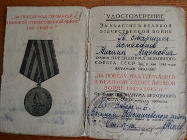 медаль за победу над германии 1941 -1945 годы