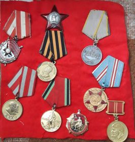 Орден красной звезды, орден красного знамени, медаль за боевые заслуги
