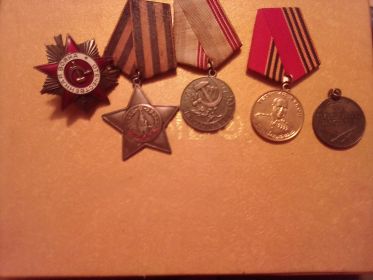 Медаль Жукова,орден красной звезды 3-й степени,за победу над Германией,з а доблесть и отвагу,ветеран труда, БТ