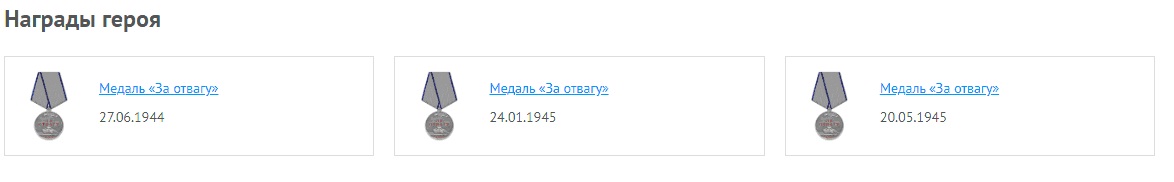 Награжден 3 Медалями "За Отвагу"(июнь 1944, январь 1945, май 1945), Медалью "За победу над Германией", Медалью "30 лет Советской Армии и Флота".