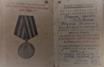 Медаль "За победу над Германией 1941-1945 гг"