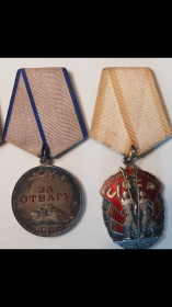 Орден знака почета, Медаль за отвагу
