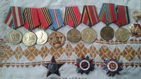 Медаль за боевые заслуги, орден красной звезды, орден отечественной войны 1-2 степени.