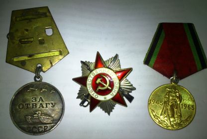 медаль за отвагу, Орден Отечественная Война