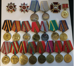 Орден Отечественной войны, Медаль «За победу над Германией в Великой Отечественной войне 1941—1945 гг.», Медаль «За отвагу», Медаль «За боевые заслуги» и другие...