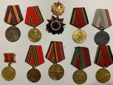 Орден Отечественной войны 1 степени, медаль "За отвагу", медаль Георгия Жукова, юбилейные медали