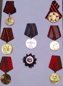 медаль "За Отвагу", медаль "За победу над Германией", орден "Отечественная война", юбилейные медалт