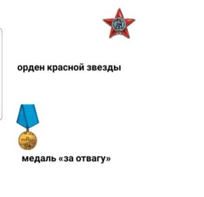 Орден Красной звезды, медаль "За отвагу"