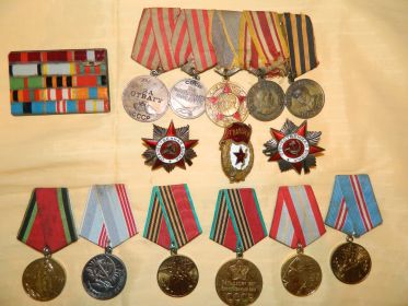 Орден Отечественной войны I степени, медали  «За отвагу», «За боевые заслуги», «За оборону Москвы».