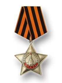 Орден Славы 3 степени, медали