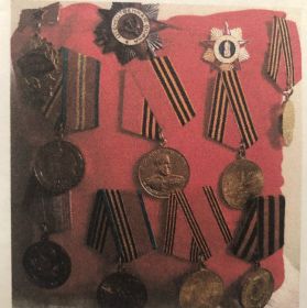 медаль за победу над Германией, орден Отечественной войны второй степени.