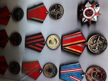 Медаль "За ПОбеду",  орден  "Отечественная война"