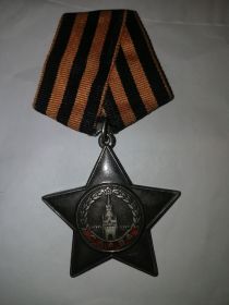 Орден Славы III степени, медаль "За отвагу", орден Отечественной войны II степени, орден "Красная Звезда"