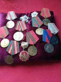 орден Отечественной войны II Степени, медаль За честь и мужество, знак Фронтовик  и юбилейные медали