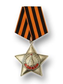 Орденом Славы III степени