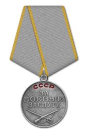 медаль "За боевые заслуги", орден "Красной Звезды"