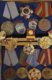 Медаль «За отвагу»; Орден Отечественной войны II степени; Медаль "За доблестный труд" 1941-1945