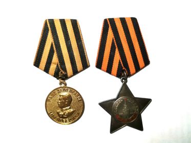 Медаль «За победу над Германией в Великой Отечественной войне 1941–1945 гг.» , Орден Славы III степени