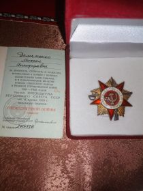 Медаль «За отвагу», Орден Отечественной войны I степени