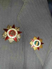 Орден Великой Отечественной Войны, Медаль за победу над Германией
