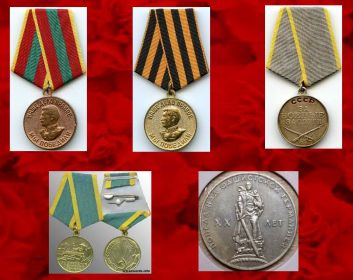 Медаль за боевые заслуги”, ”20 лет Победы над Германией”,  ”За Победу над Германией”,  “За Доблестный труд”, “За освоение целинных земель”