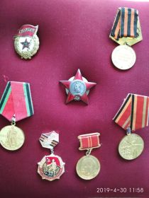 Награжден Орденом Красной звезды, медалью «За оборону Москвы», медалью «За Победу над Германией», медалью «За доблестный труд», нагрудным Знаком «Гвардия» и мно...
