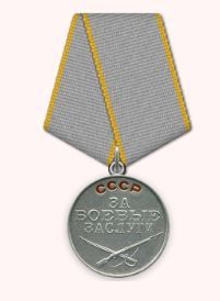 Медаль «За боевые заслуги», Орден Красной Звезды, Орден Отечественной войны I степени