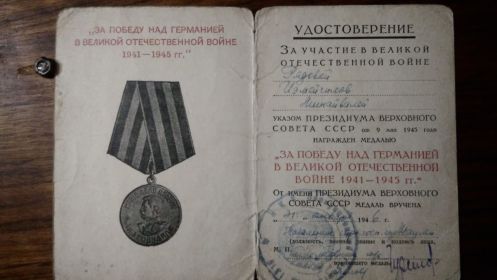 Медаль За Победу над Германией в Великой Отечественной Войне 1941-1945гг