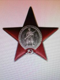 01.08.1944г. Медаль "За оборону Москвы", 22.10.1944г. Медаль "За боевые заслуги", 23.02.1945г. Орден Красной Звезды.