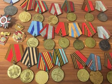 Орден Отечественной Войны 1 степени, медаль за боевые заслуги, медаль за взятие Будапешта, медаль за взятие Праги, медаль за победу над Германией