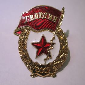 нагрудный знак Гвардия