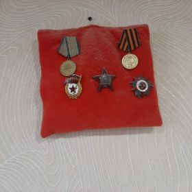 Орден Красной Звезды,орден Отечественной войны 1 степени,медаль За оборону Кавказа,медаль За победу над Германией
