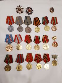 ордена Отечественной войны I и II степеней, медали "За боевые заслуги", "За победу над Германией" и другими.