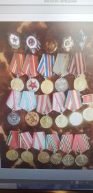 Награжден медалями «За победу над Германией»,  «За боевые заслуги», «За доблесть и отвагу в Великой отечественной войне» и другими наградами.