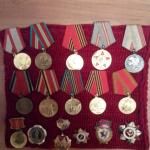 Орден славы 2 степени, орден Отечественной войны, медаль Жукова, знак Фронтовик,  8 медалей к юбилейным датам ко Дню Победы и Вооруженным силам.