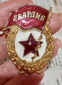 Нагрудный знак «Гва́рдия»