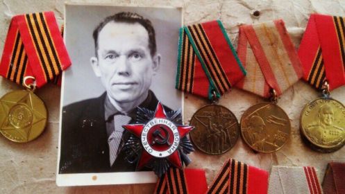 был награждён медалью" За Победу над Германией", также был награждён Орденом Отечественной войны 2 степени .