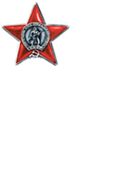 Орден Красной Звезды, два , медали "За боевые заслуги", "За освобождение Кавказа",