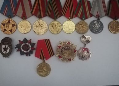 Орден Отечественной войны 2 степени, награды к юбилейным датам окончания ВОВ, медаль Георгия Жукова
