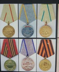 Орден Отечественной войны, за оборону Сталинграда, за оборону Леннграда, за боевые заслуги, за взятие Берлина, За победу над Германией  в Великой Отечественной...